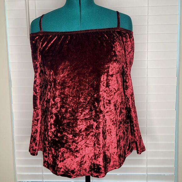 Oxblood Crushed Velvet Peasant Fairy Renaissance Ren Fest Boho Goth Royal Maiden - Picture 2 of 8